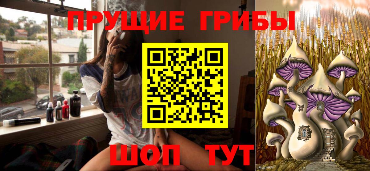 Псилоцибиновые грибы Psilocybe  как найти наркотики  Вход с VPN  Костомукша  Псилоцибиновые грибы мицелий 